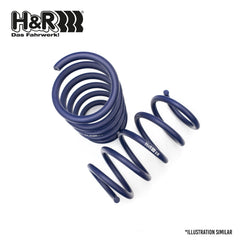 H&R LOWERING SPRINGS for BMW F15/F16 X5 X6