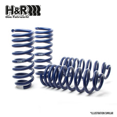 H&R LOWERING SPRINGS for BMW F15/F16 X5 X6