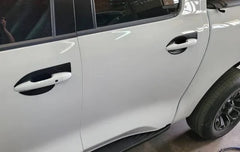 Door handle bowls GWM P-series 2021+