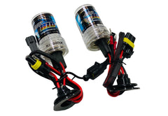 HID REPLACEMENT GLOBE H1