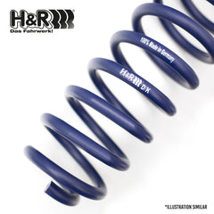 H&R LOWERING SPRINGS for BMW F15/F16 X5 X6