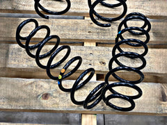 POLO 6 OEM SPRINGS