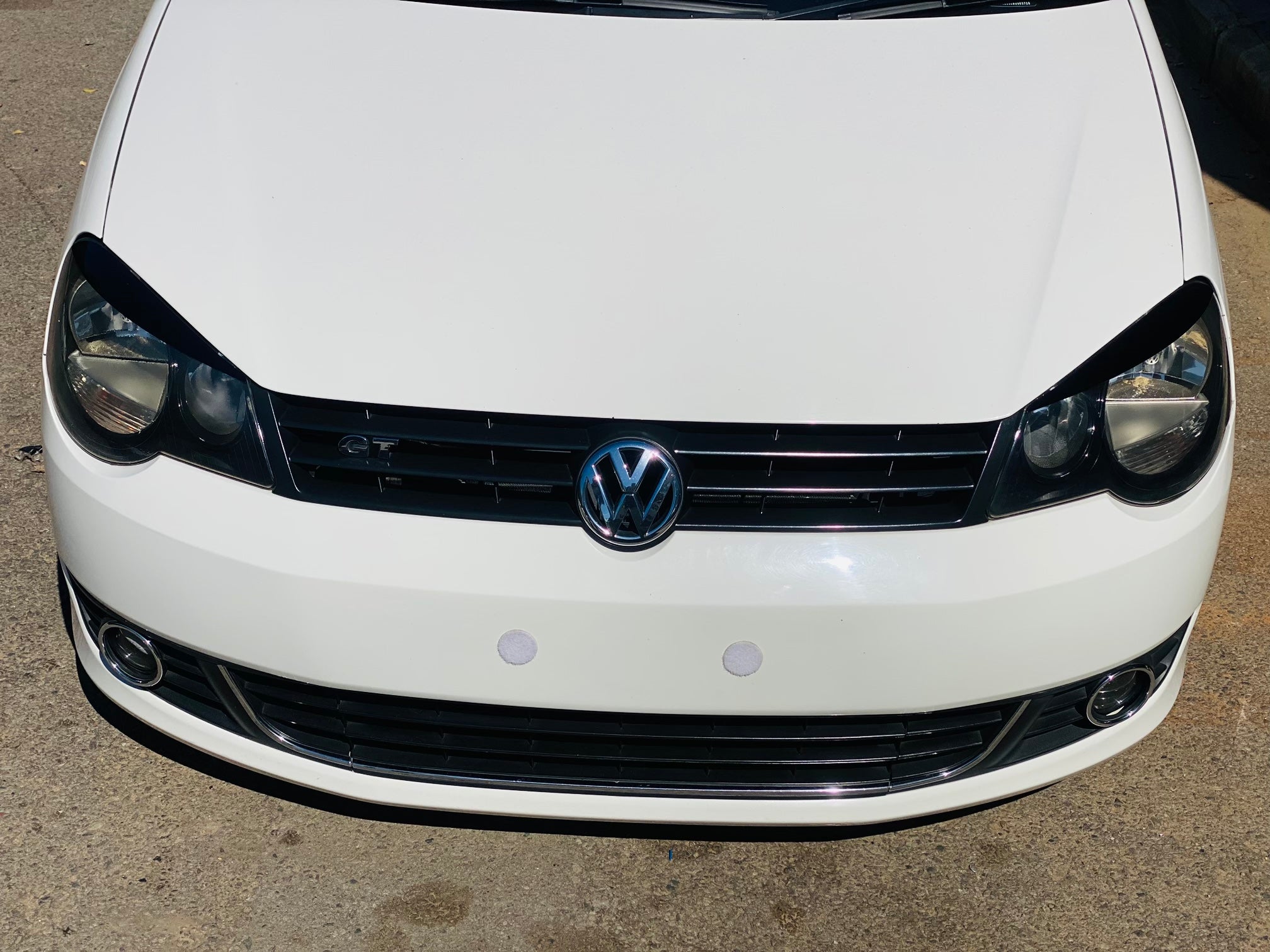 Polo 9N/ VIVO EYELIDS